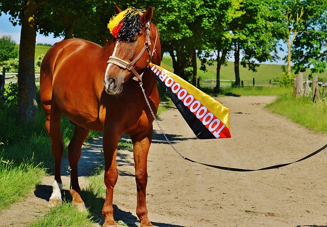 九游游戏平台：珍珠球燃动赛场，采珍珠与篮球上演奇妙碰撞！新华社.